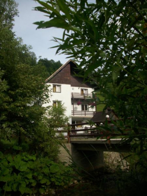 Vila Doina Branului, Bran